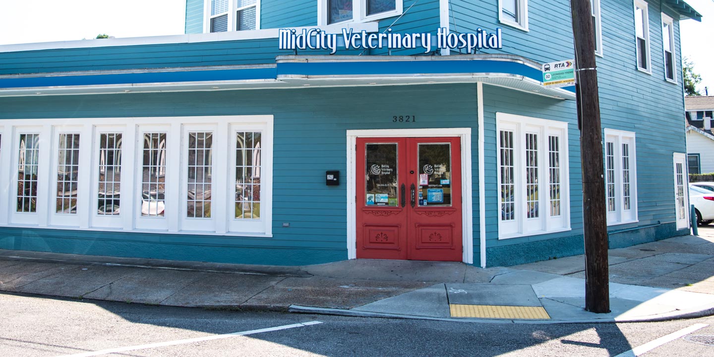 MidCity Veterinary Hospital Building